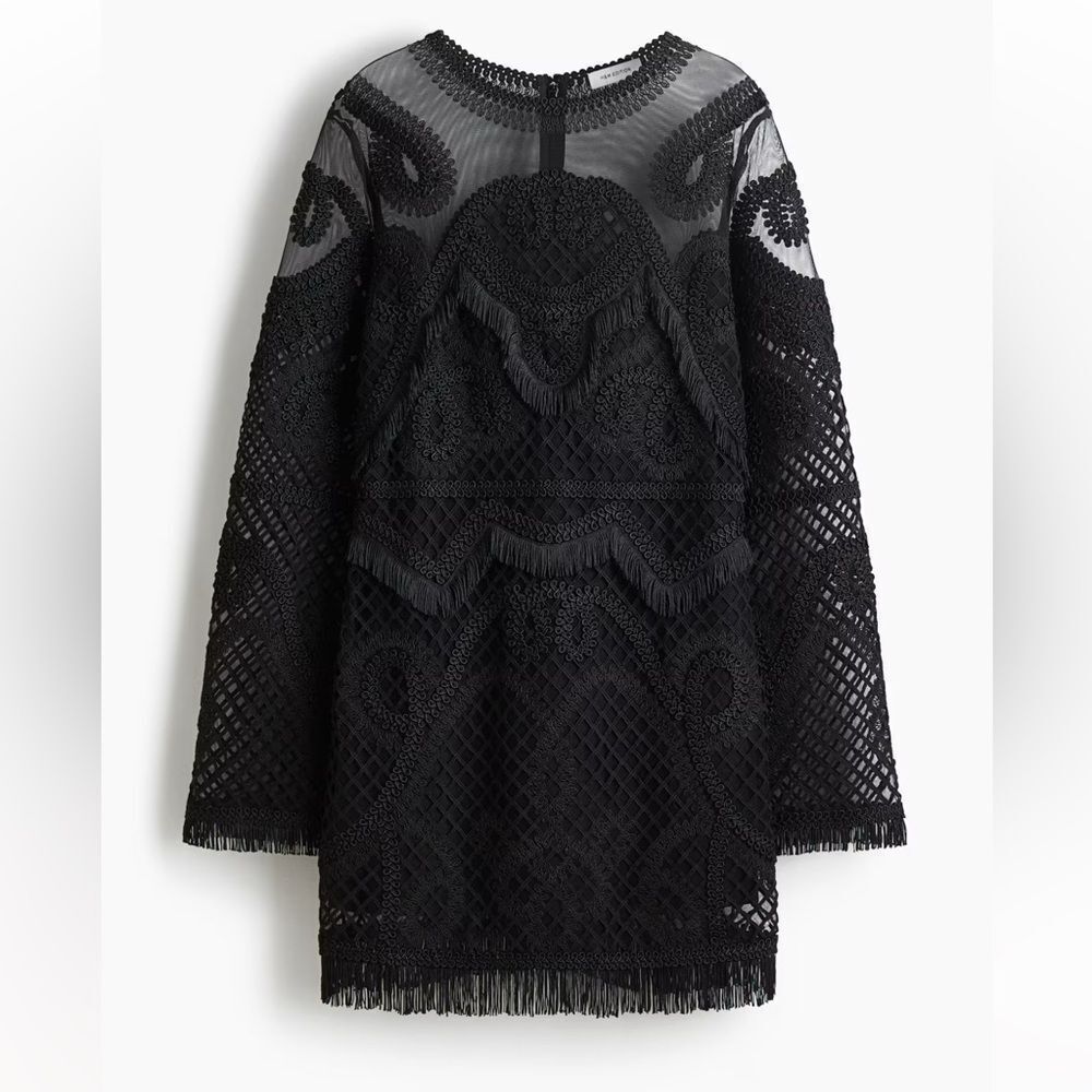 HM Limited Edition Embellished Mini Dress
